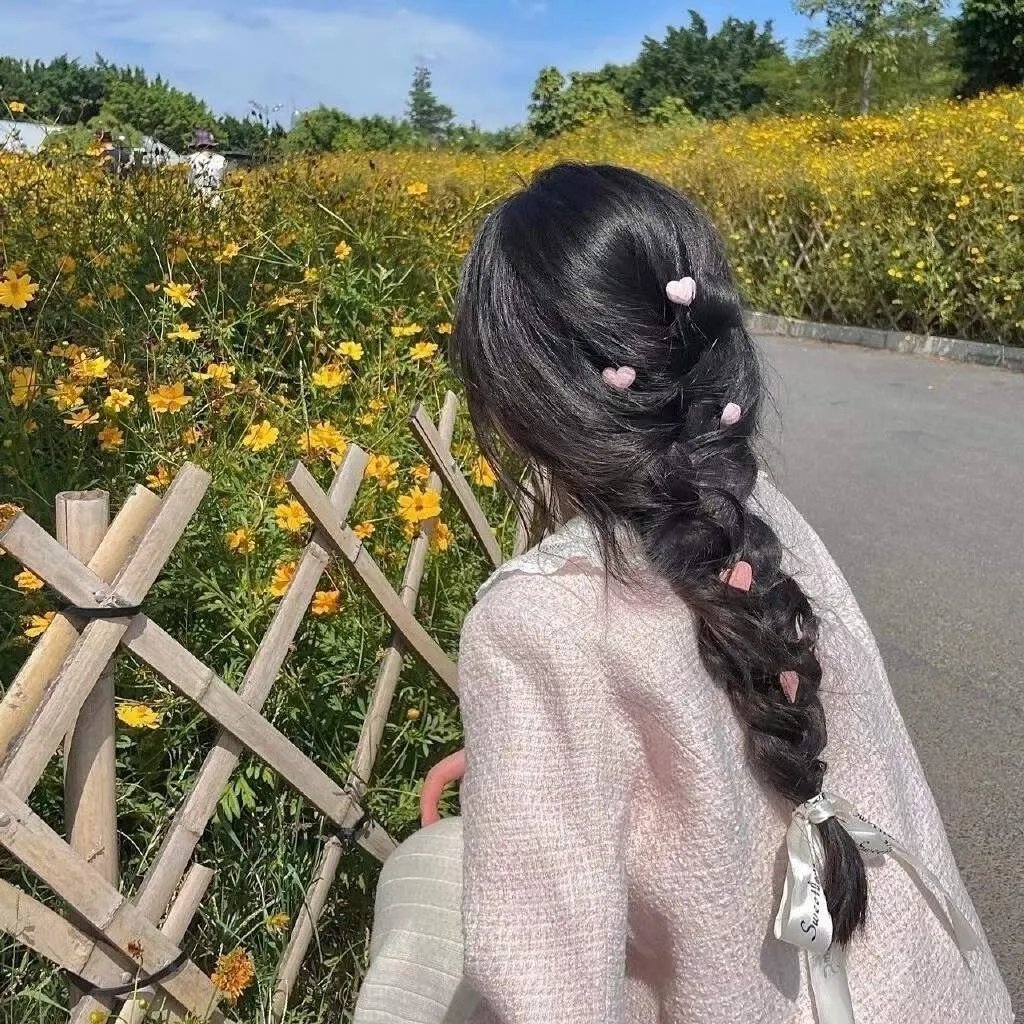 欢迎来到丛林